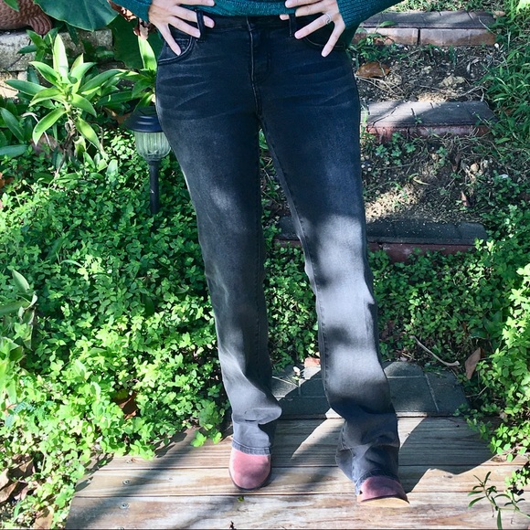 Anthropologie Level 99 Chloe Bootcut Jeans - Picture 13 of 16